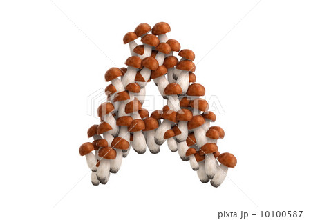 Boletus mushroom letter A on white background 10100587