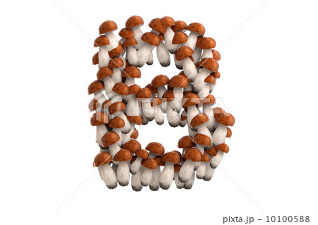 Boletus mushroom letter B on white background 10100588