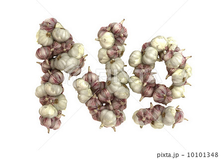 Garlic symbol on white background 10101348