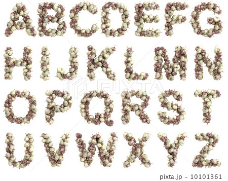 Garlic alphabet on white background Garlic alphabet on white background 10101361
