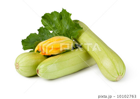 fresh vegetable zucchini 10102763