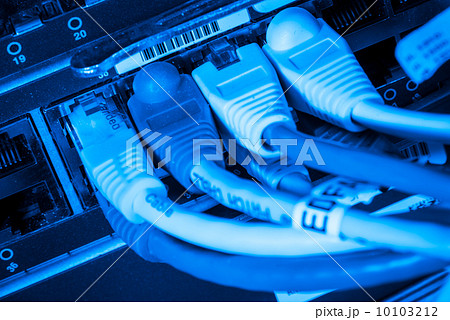 network hub and patch cables 10103212
