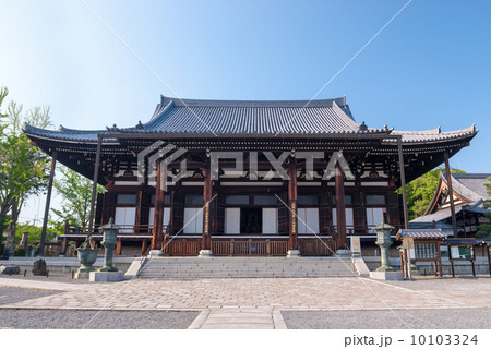 くろ谷　金戒光明寺　御影堂（大殿） 10103324