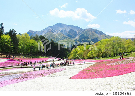 羊山公園 10104362