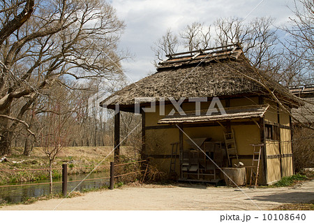 安曇野　早春の川辺 10108640