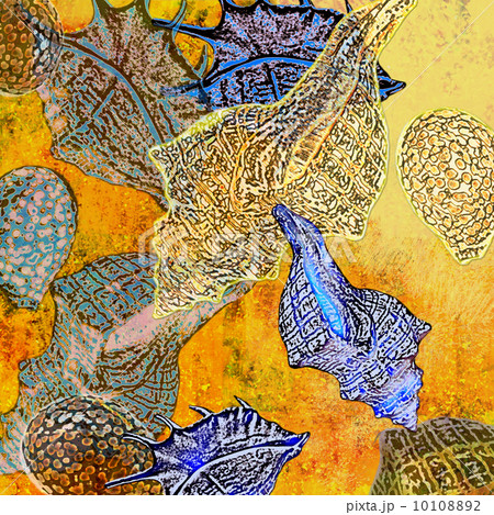 background shells 10108892