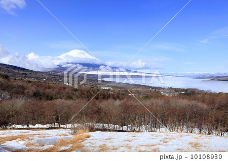 富士と山中湖 10108930