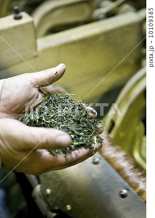 八女茶工程イメージ 10109385