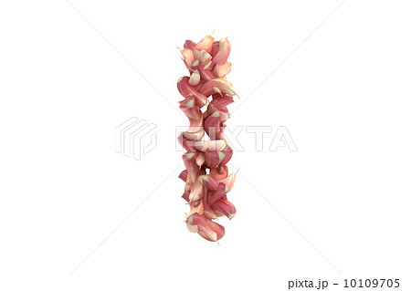 Garlic letter I on white background 10109705