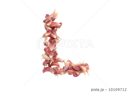 Garlic letter L on white background 10109712