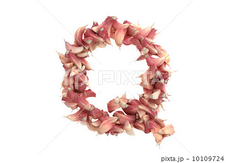 Garlic letter Q on white background 10109724