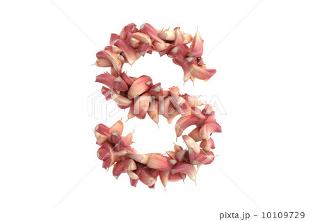 Garlic letter S on white background 10109729