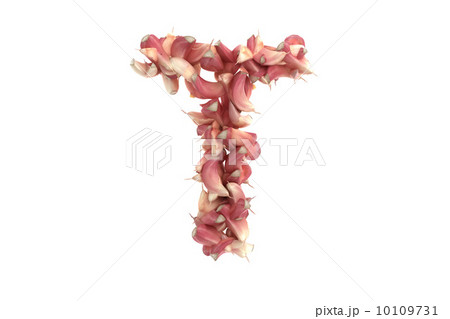 Garlic letter T on white background 10109731