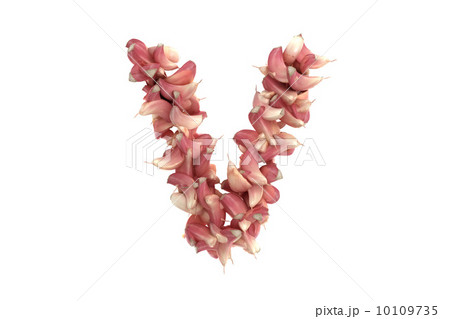 Garlic letter V on white background 10109735