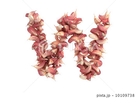 Garlic letter W on white background 10109738