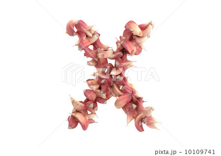 Garlic letter X on white background 10109741