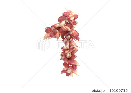Garlic symbol 1 on white background 10109756