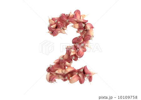 Garlic symbol 2 on white background 10109758