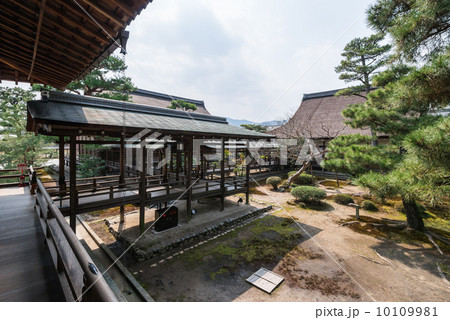 京都　大覚寺　回廊 10109981