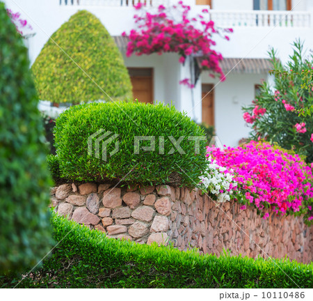 In garden In garden 10110486