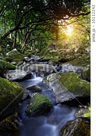 Cascade falls over mossy rocks Cascade falls over mossy rocks 10112242