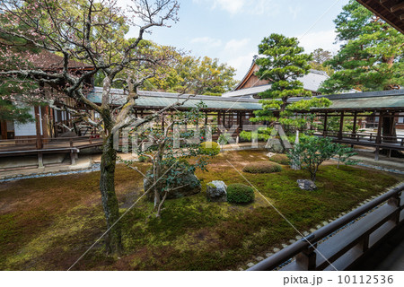 京都 大覚寺 庭園 京都 大覚寺 庭園 10112536
