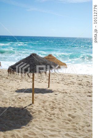 Beach scene with coconuts area 10112776