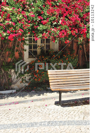 Wooden bench and a typical window with clinging flowers 10113242