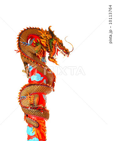 Giant golden Chinese dragon on isolate background 10113764