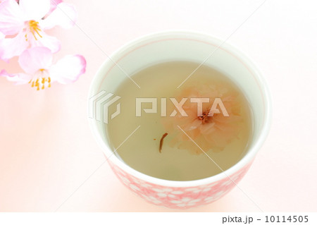 桜茶 10114505