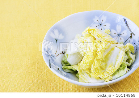 白菜のつけもの 10114969