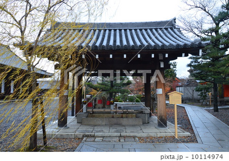 夜泣セン（三十三間堂(蓮華王院)／京都市東山区三十三間堂廻町） 10114974