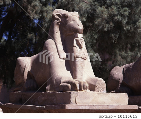 カルナック神殿のスフィンクス 10115615