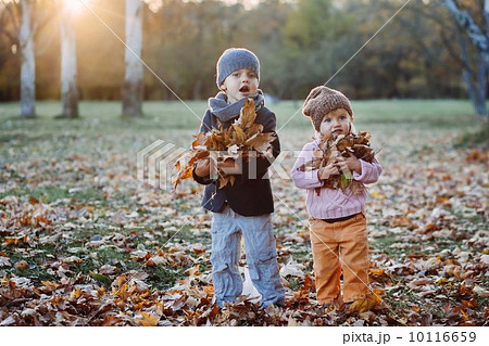 brother and sister in the autumn park 10116659