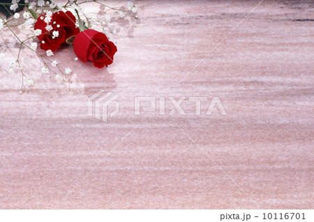 紅いバラ 10116701