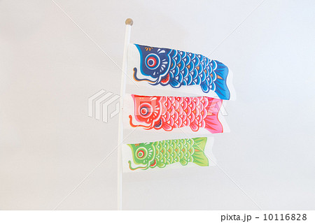 こいのぼり 10116828