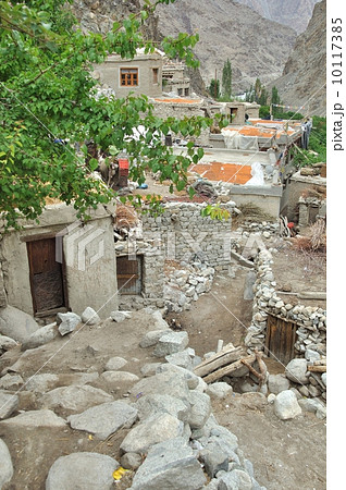 花の民の村ダー・ハヌー、ラダック 花の民の村ダー・ハヌー、ラダック 10117385