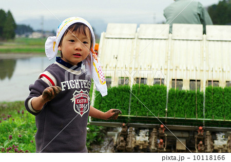 子供の田植え風景 子供の田植え風景 10118166