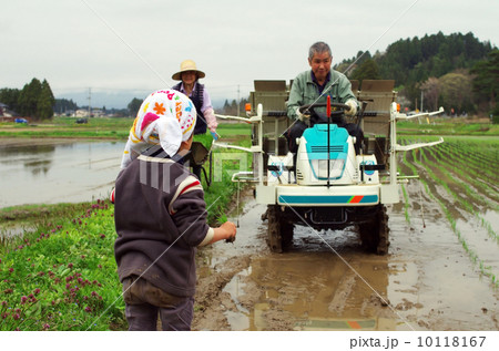 子供の田植え風景 10118167