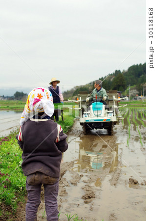 子供の田植え風景 10118168