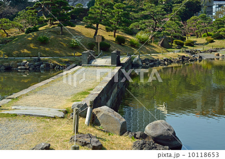 旧芝離宮恩賜庭園・西湖の堤 10118653