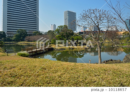 旧芝離宮恩賜庭園・中島に架かる八つ橋 10118657