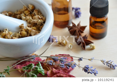 ハーブと精油 10119241
