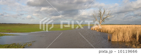 Dutch polder (Eemnes, the Netherlands) 10119666