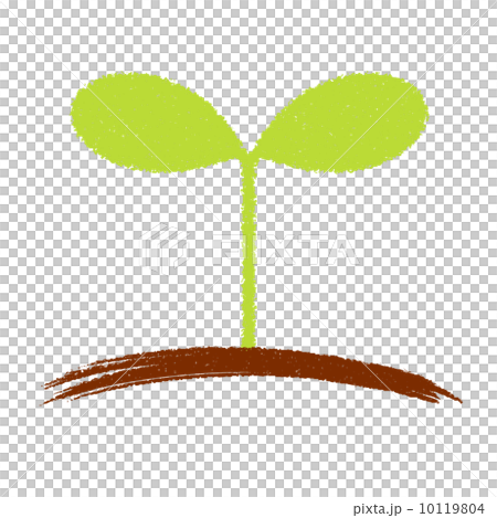 Crayon touch illustration Futaba 10119804