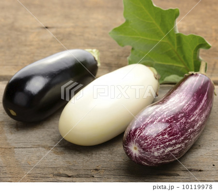 Eggplants 10119978