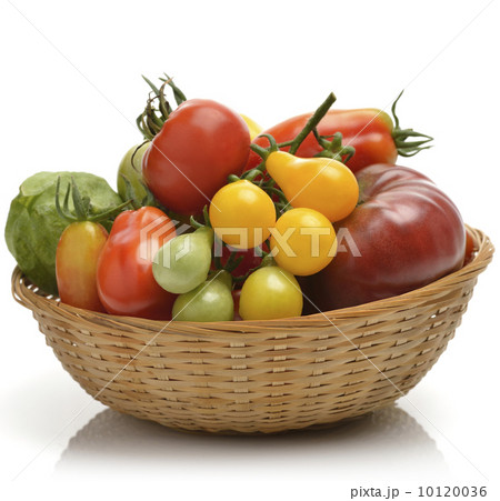 Tomatoes 10120036