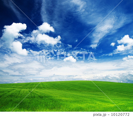 green field green field 10120772