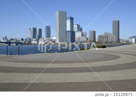 豊洲公園から望む晴海トリトンスクエア 10120875