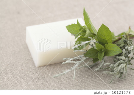 爽やかな朝04 10121578